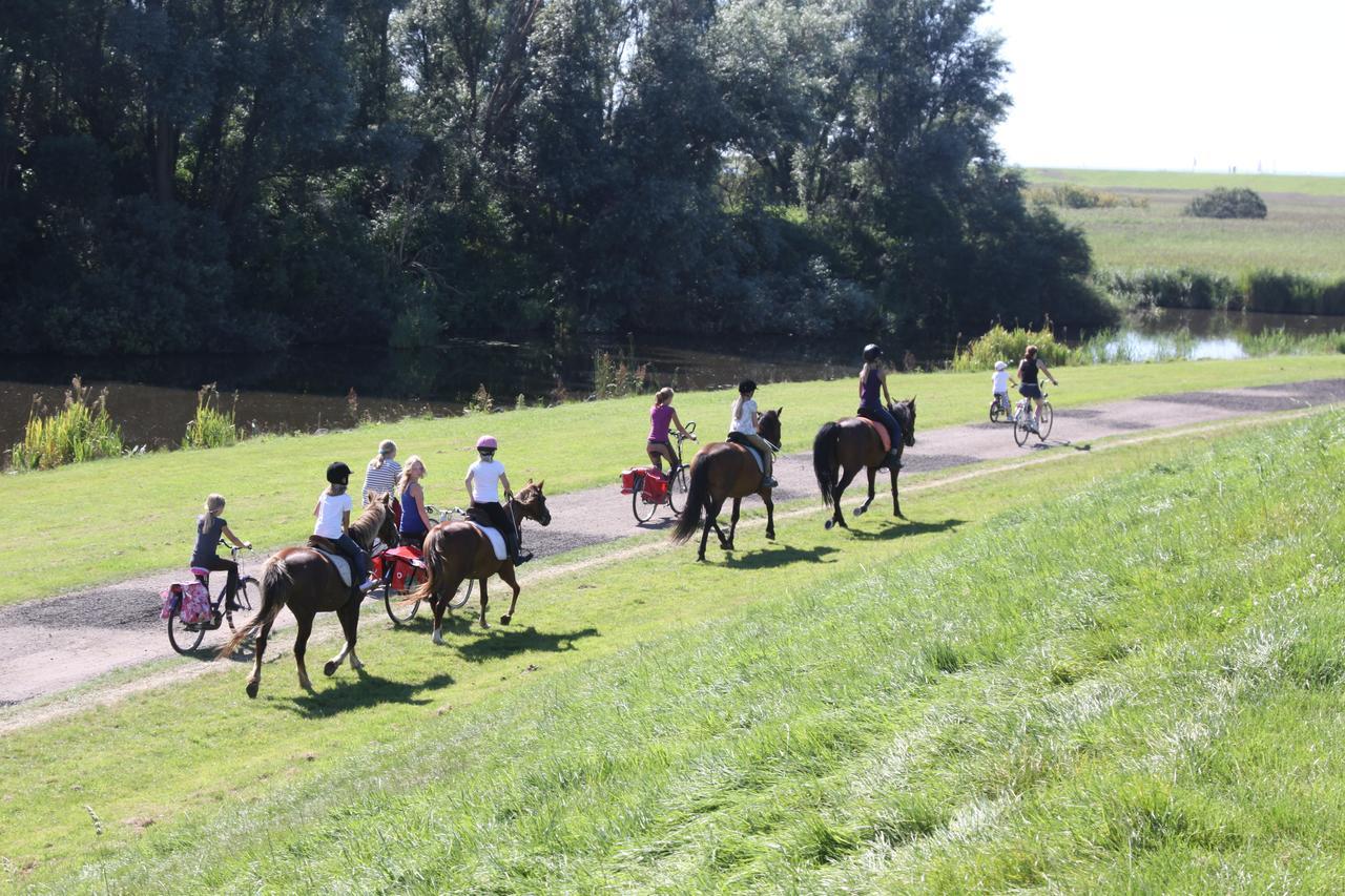 Friesland-Cottage Molkwerum Екстериор снимка
